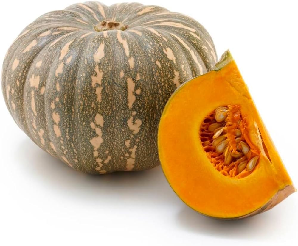 Silver (Moon Pumpkin) for planting in garden